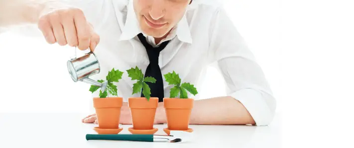 Franchise Opportunities